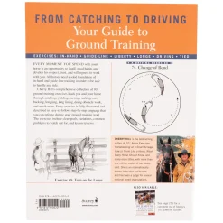 101 Ground Training Exercises For Every Horse & Handler