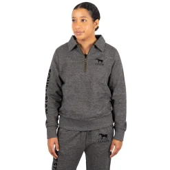 Aerion Equestrian Quarter Zip Polo Sweatshirt