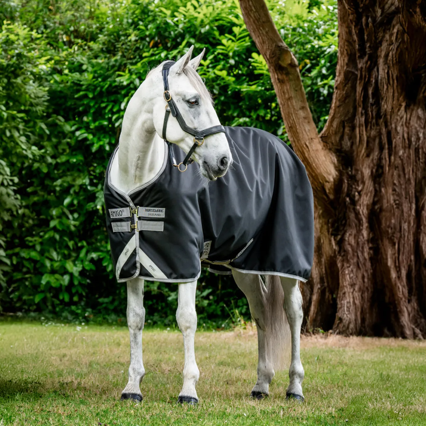 Amigo Bravo 12 Original Turnout Blanket 0 g
