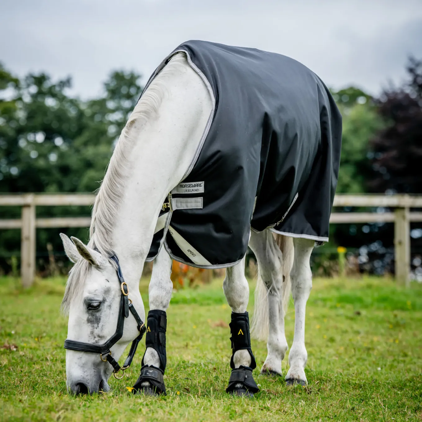 Amigo Bravo 12 Original Turnout Blanket 0 g