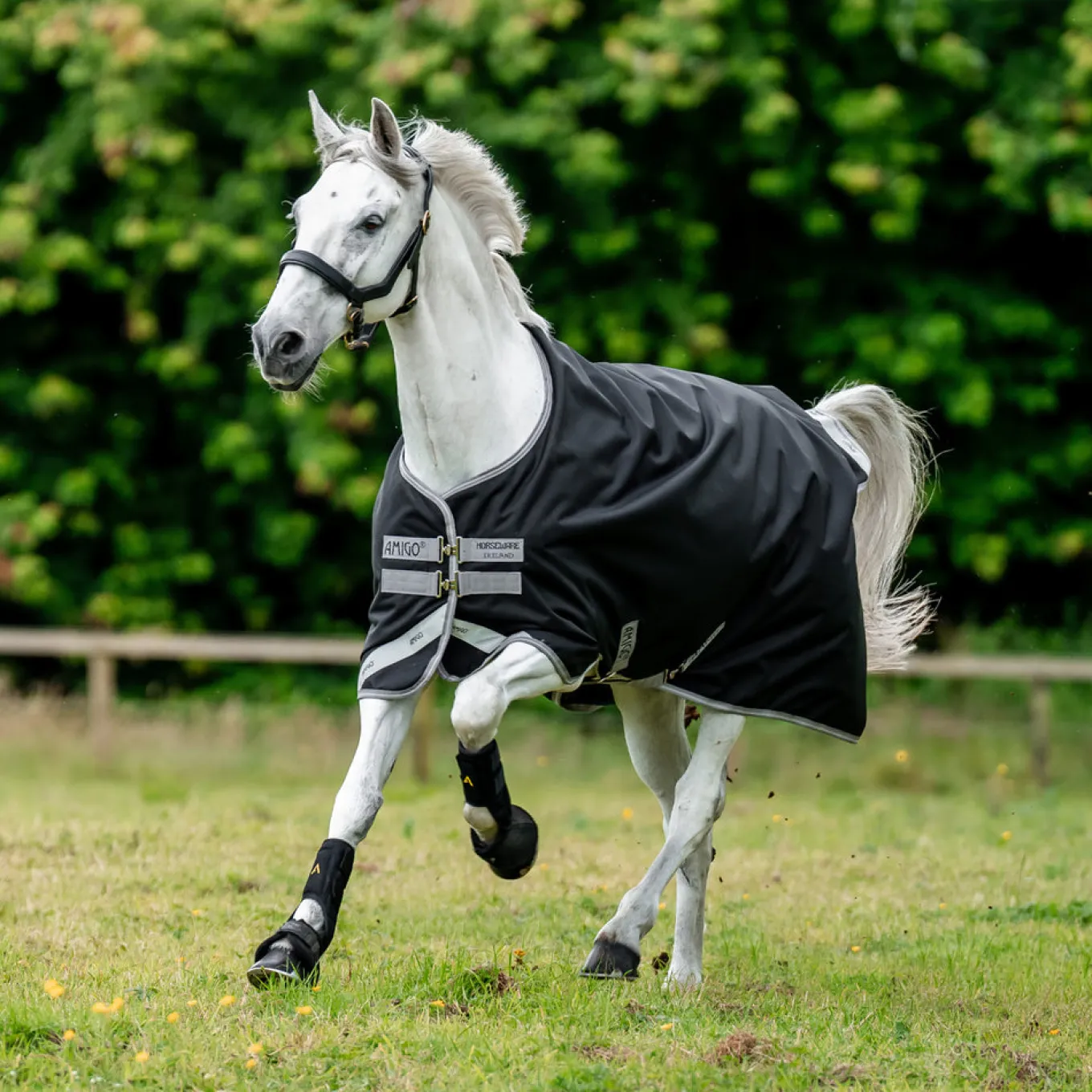 Amigo Bravo 12 Original Turnout Blanket 0 g