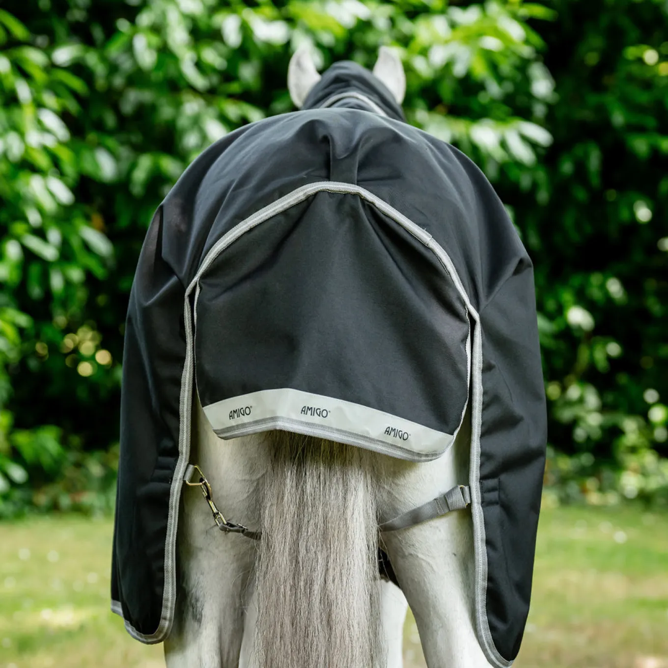 Amigo Bravo 12 Original Turnout Blanket 0 g