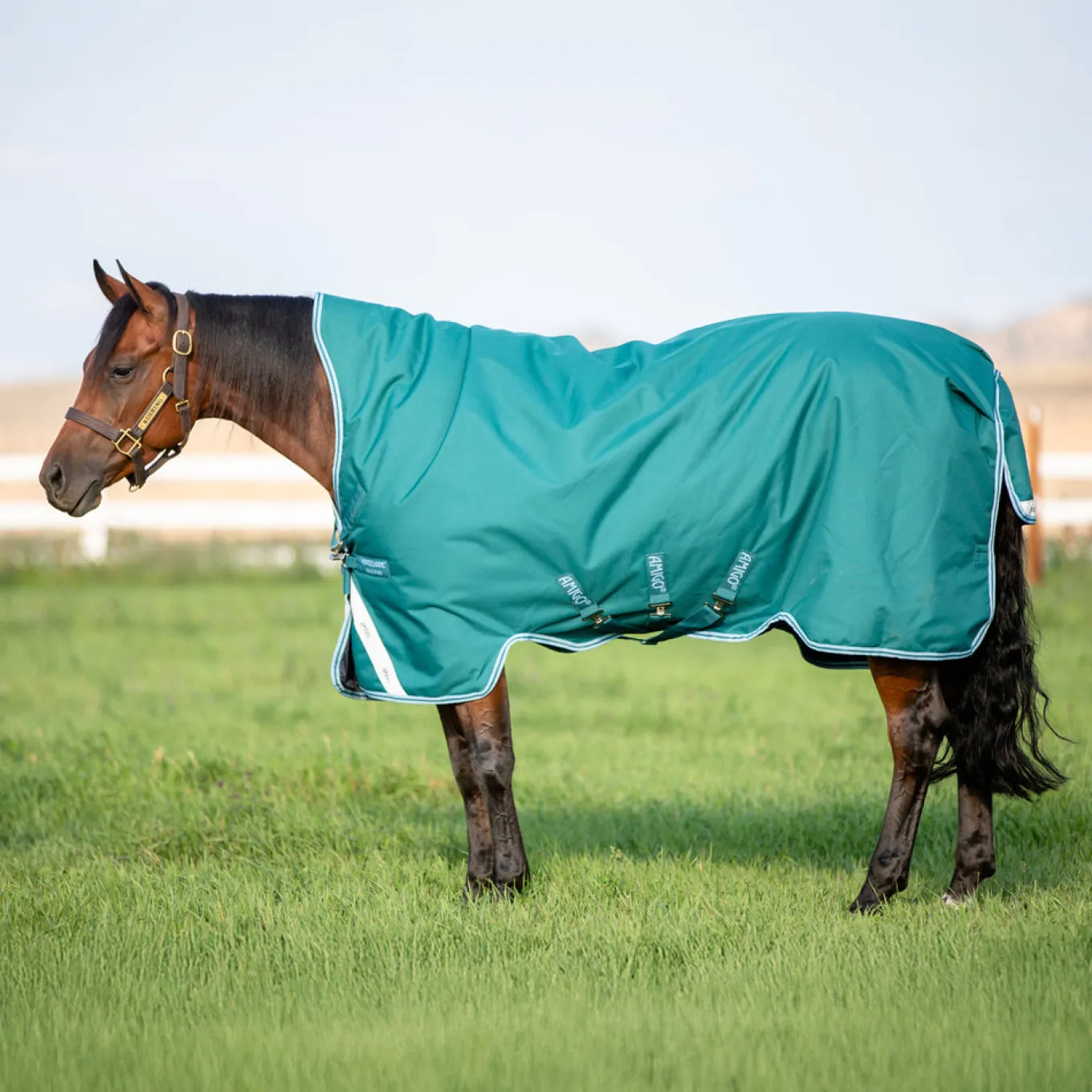 Amigo Bravo 12 Wug Medium Turnout Blanket 250 g