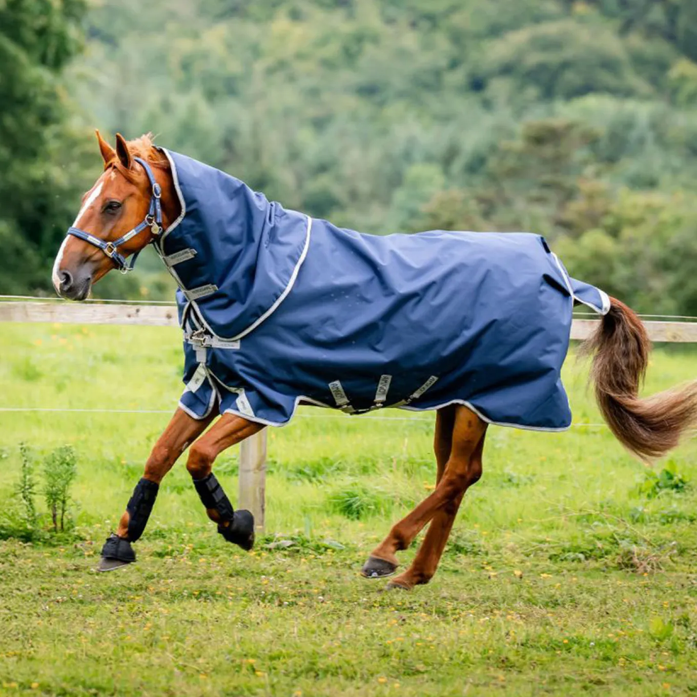 Amigo Plus 1200D Turnout Blanket 50 g