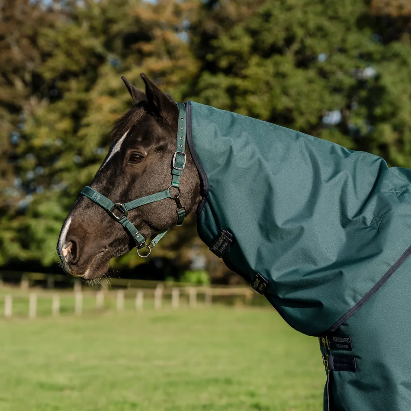 Amigo Ripstop 900D Plus Turnout Blanket 0 g
