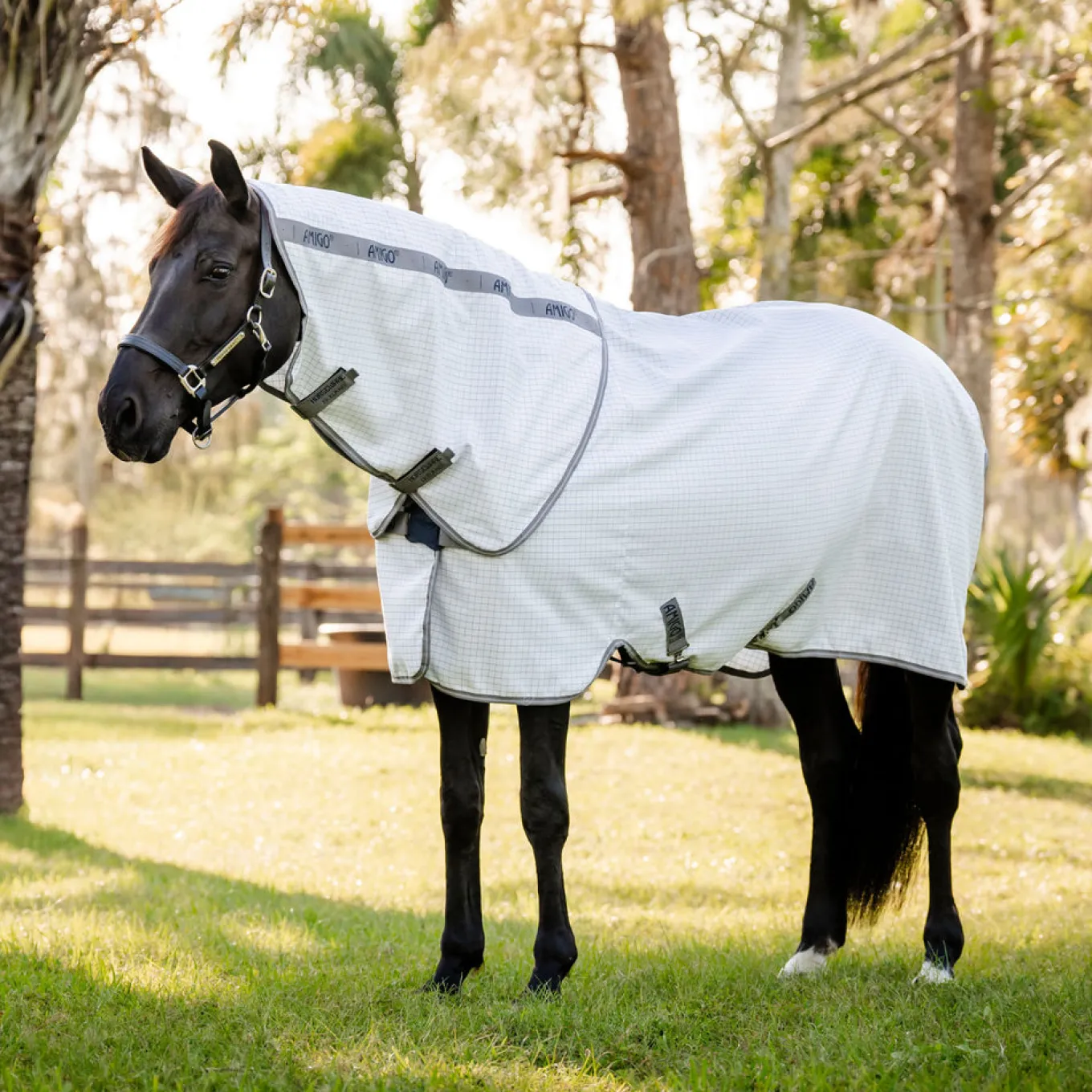 Amigo Summer Fly Sheet Plus