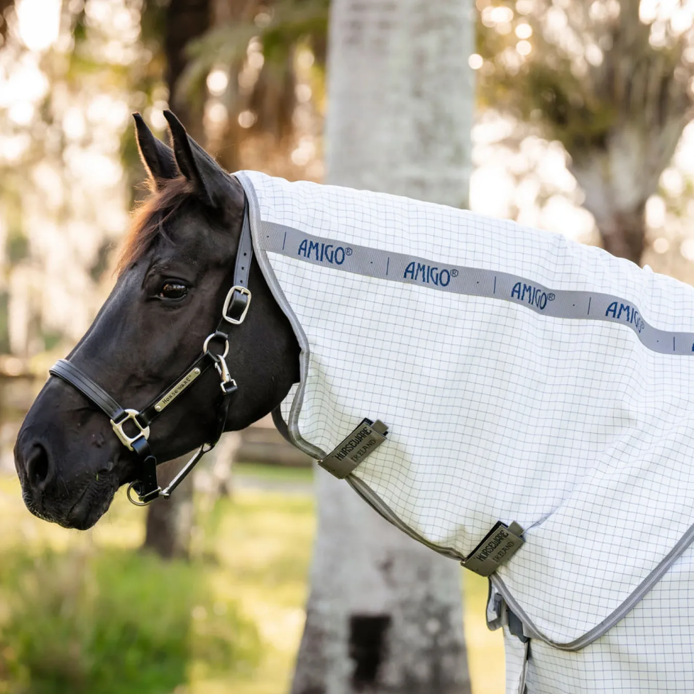 Amigo Summer Fly Sheet Plus