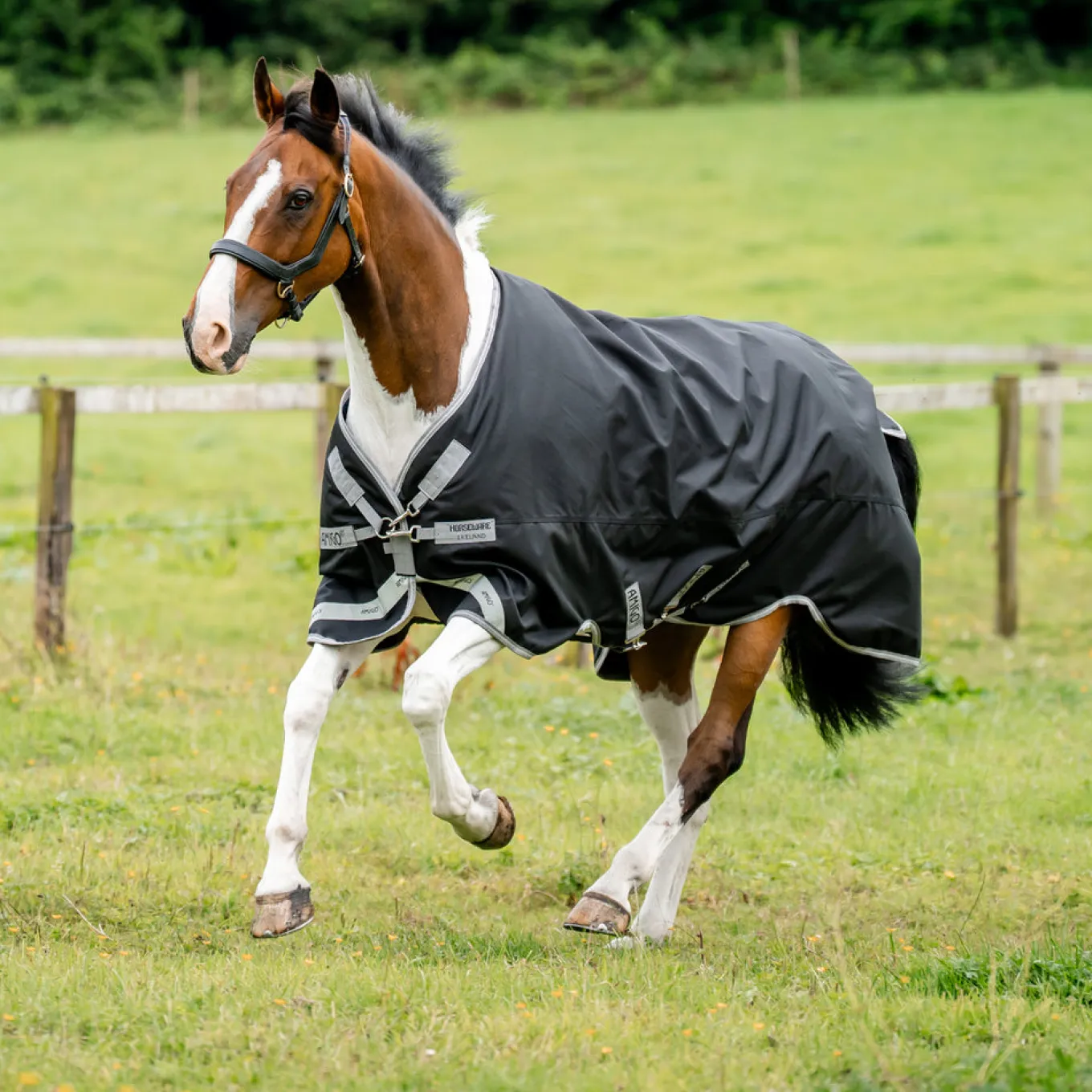 Amigo XL 1200D Turnout Blanket 50 g