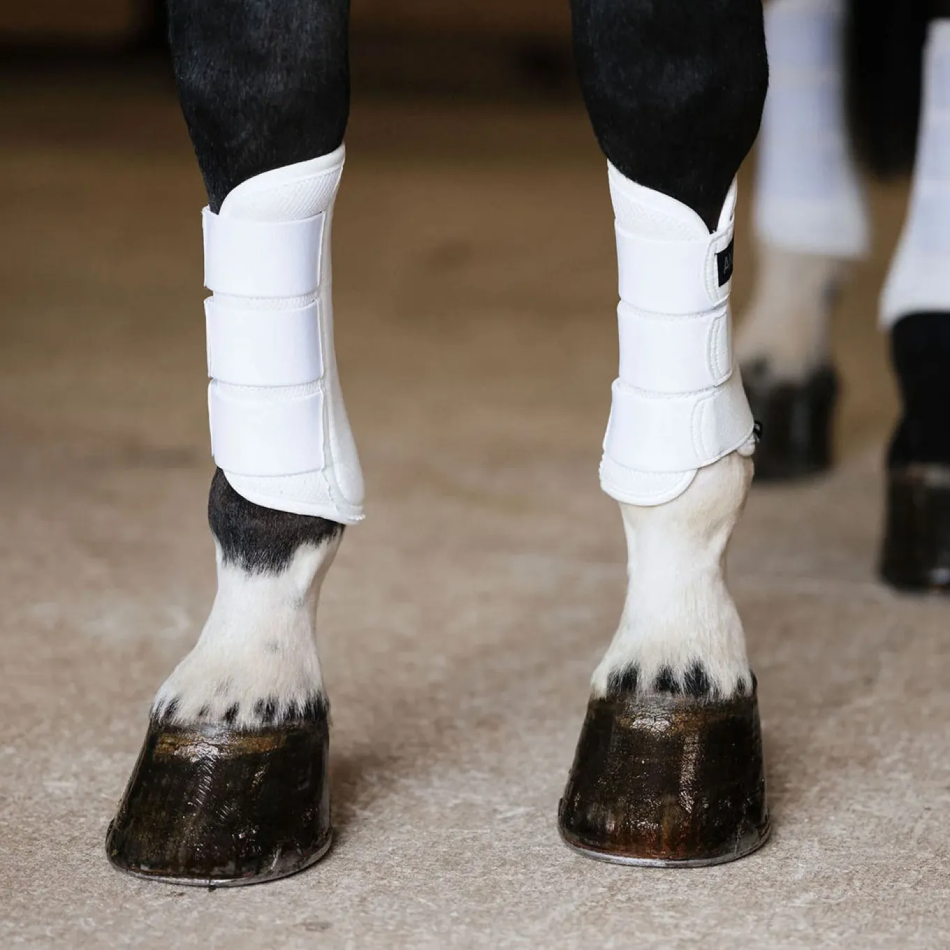 Anatomeq AirGuard Brush Boots