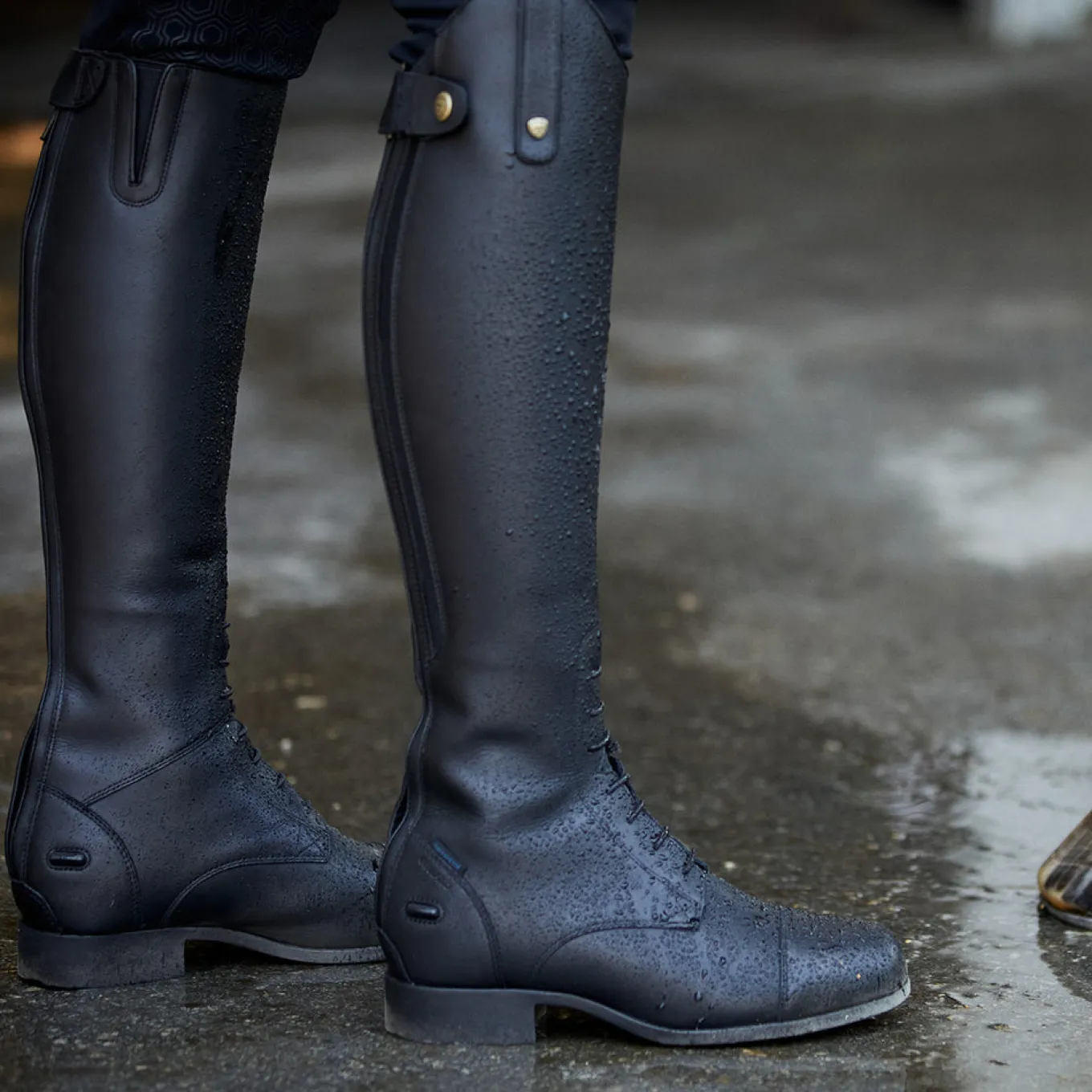 Ariat Heritage Contour II H2O Insulated Field Boots
