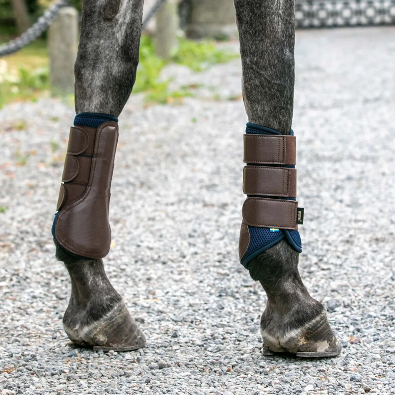 Back on Track Airflow Brush Boots