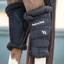 Back on Track Deluxe Royal Hock Boots