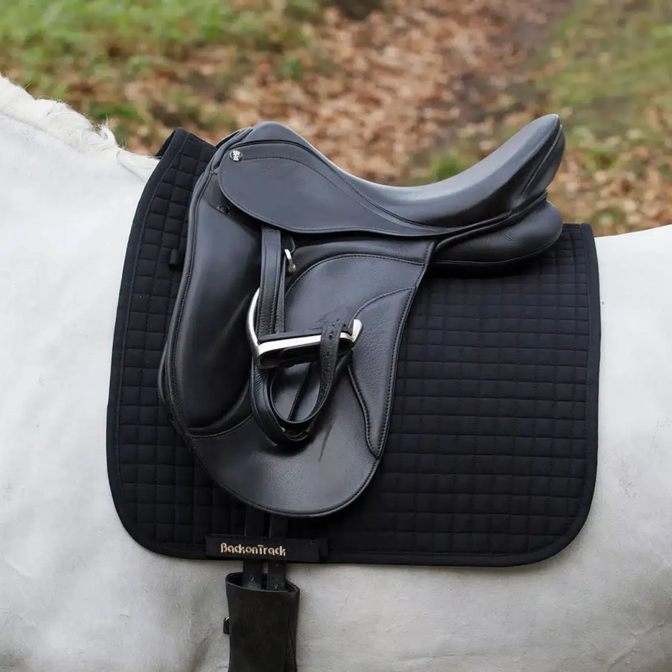 Back on Track Dressage Saddle Pad