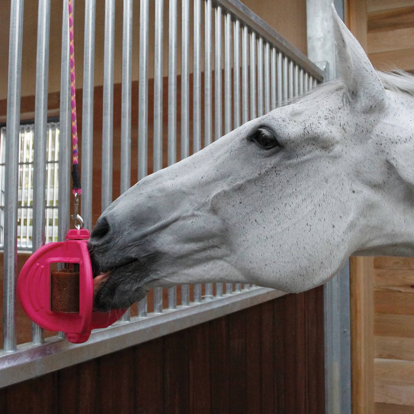 Bizzy Horse Bizzy Ball Horse Toy