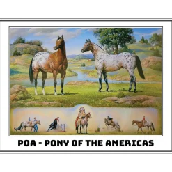 Breyer Traditional Pony Of The Americas
