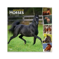 BrownTrout 365 Days of Horses 2026 Square Calendar