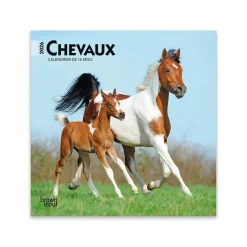 BrownTrout Chevaux 2026 Mini Calendar