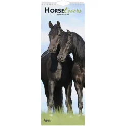 BrownTrout Horse Lovers 2026 Slimline Calendar