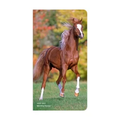 BrownTrout Horse Lovers 2026 Pocket Planner