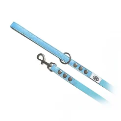 Buddy Belt Accent Leather & Nylon Leash 1.3 cm x 1.2 m