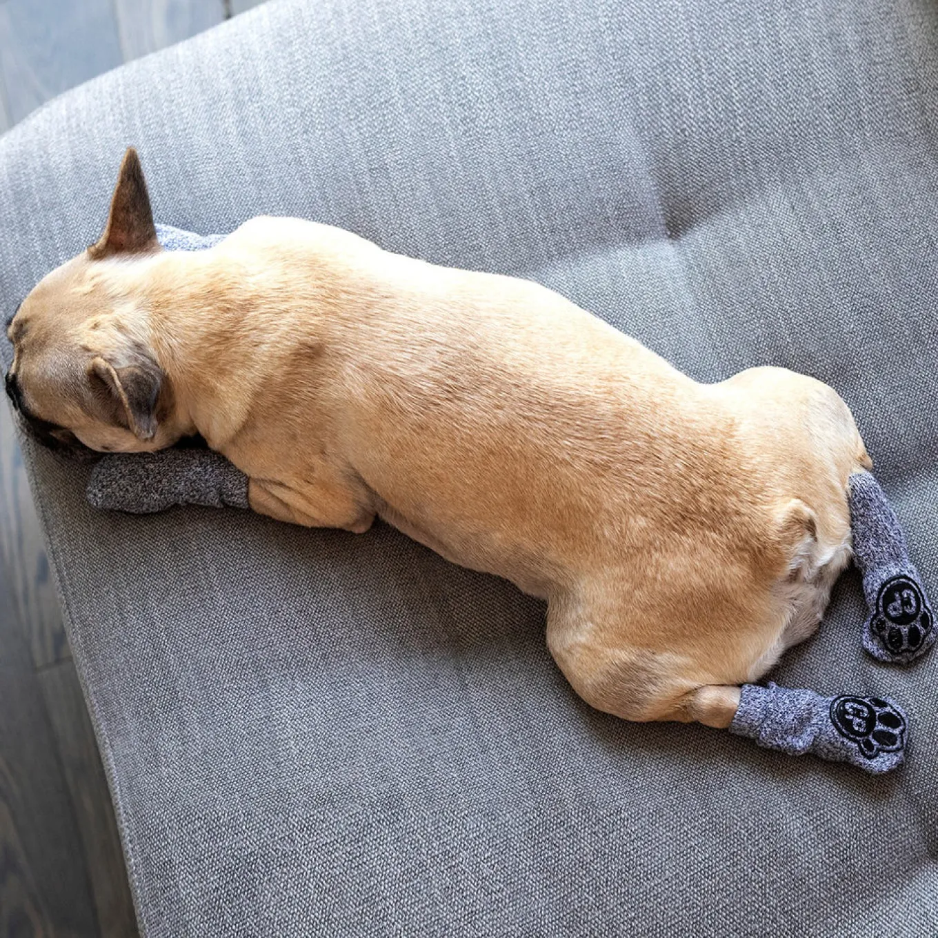 Canada Pooch The Basics Dog Socks