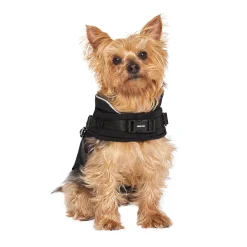 Canada Pooch The Harness Puffer