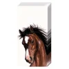 Carsim Amy & Lucy White 4 Ply Pocket Tissues