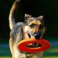 Chuckit! Rugged Flyer Dog Toy