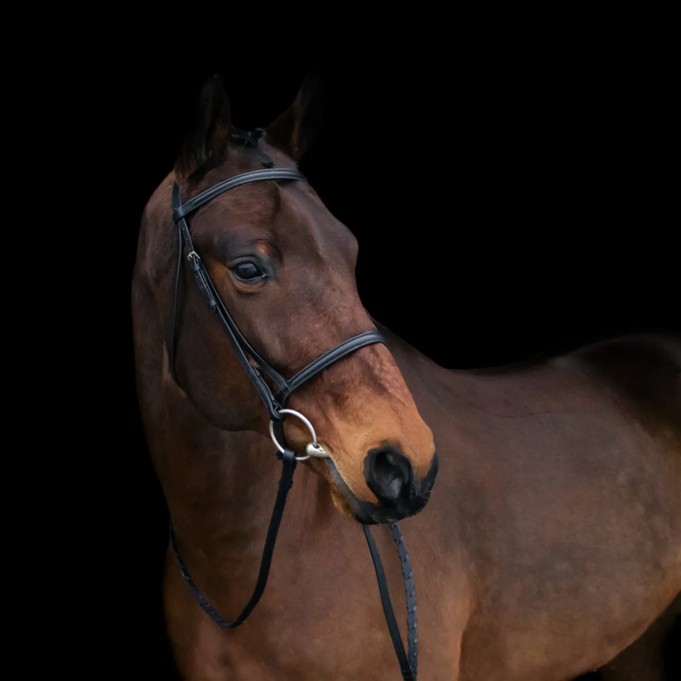 Connemara Bridle