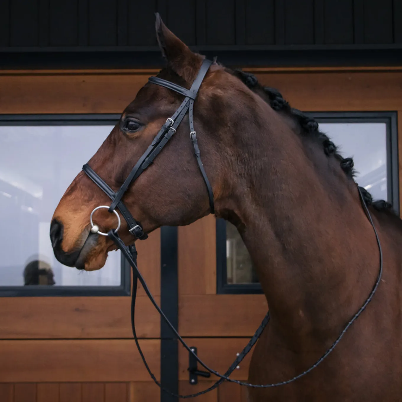 Connemara Bridle