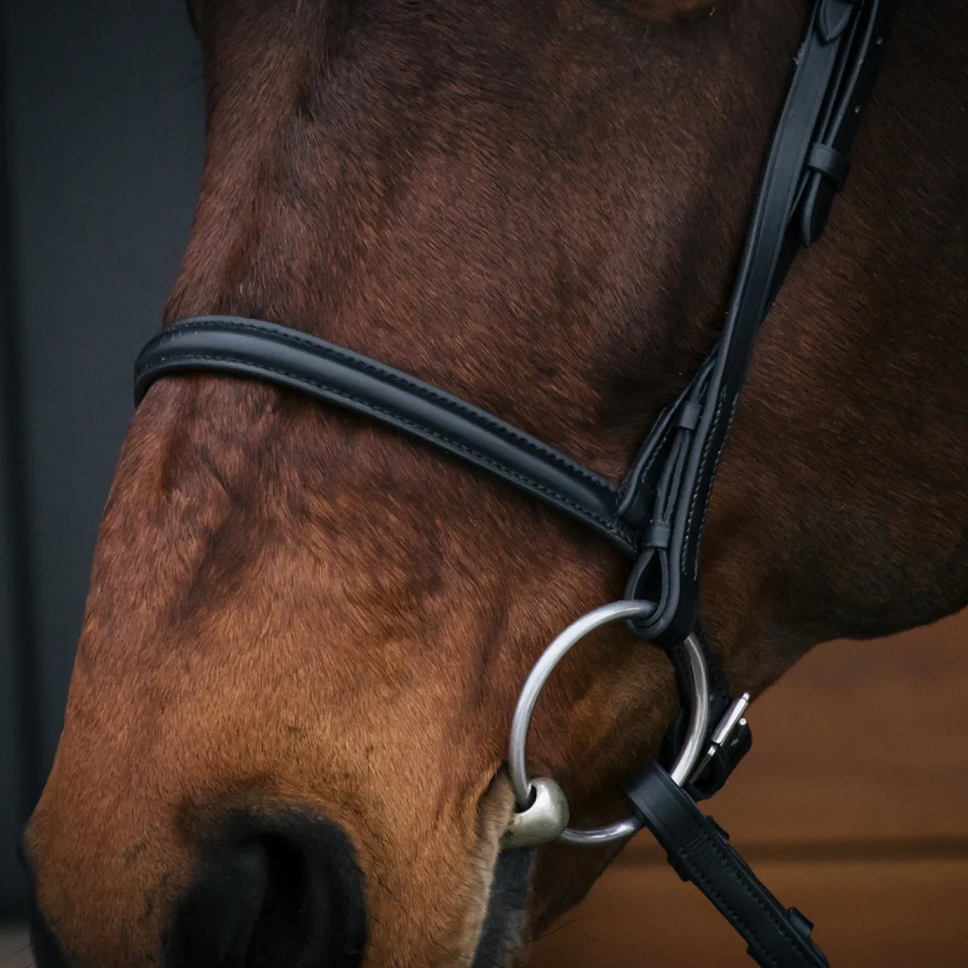 Connemara Bridle