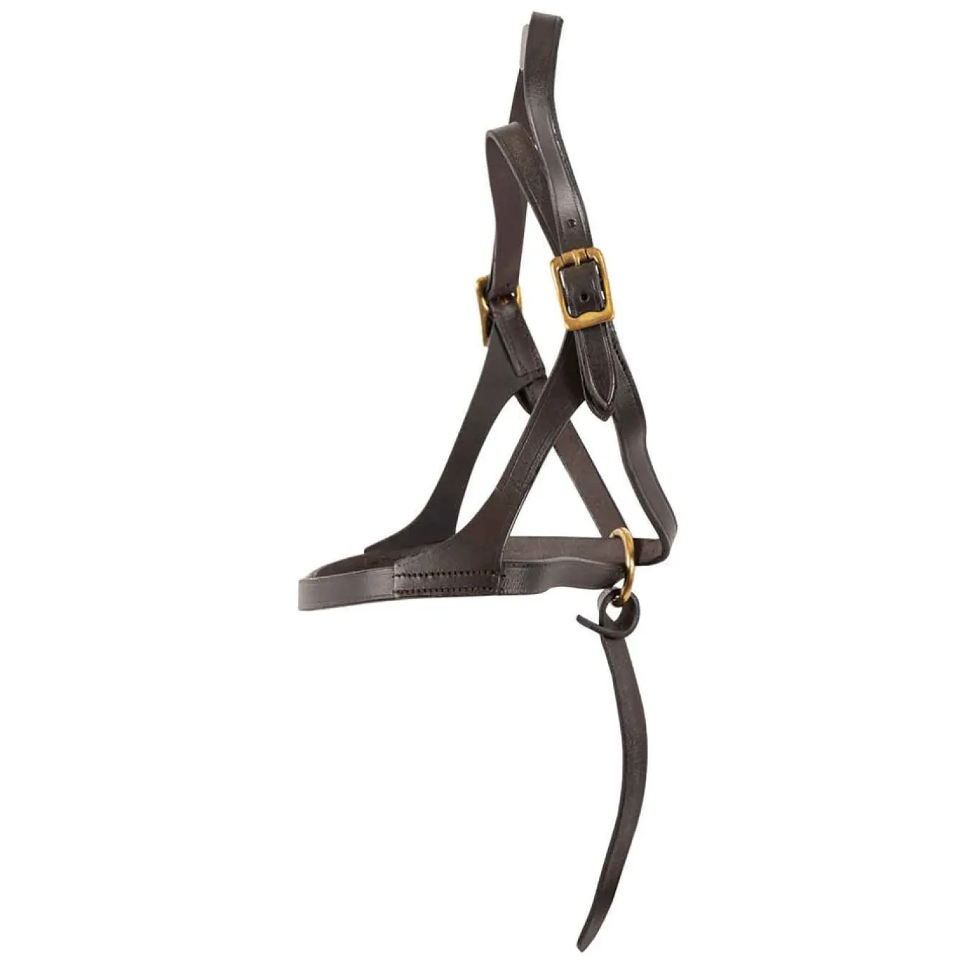 Connemara Figure 8 Foal Halter