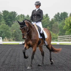 Elation Diamond Gramercy Full Seat Show Breech