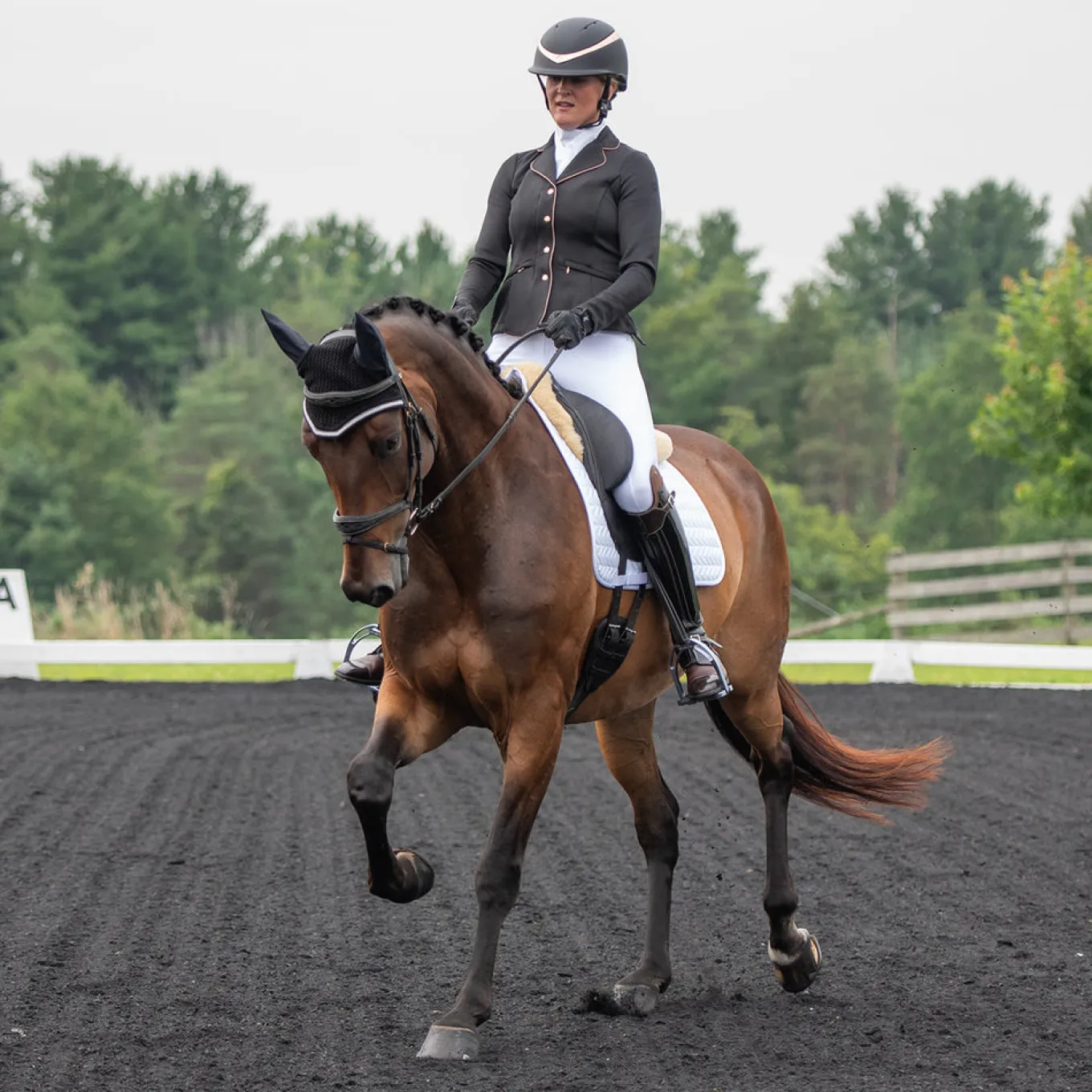Elation Diamond Gramercy Full Seat Show Breech
