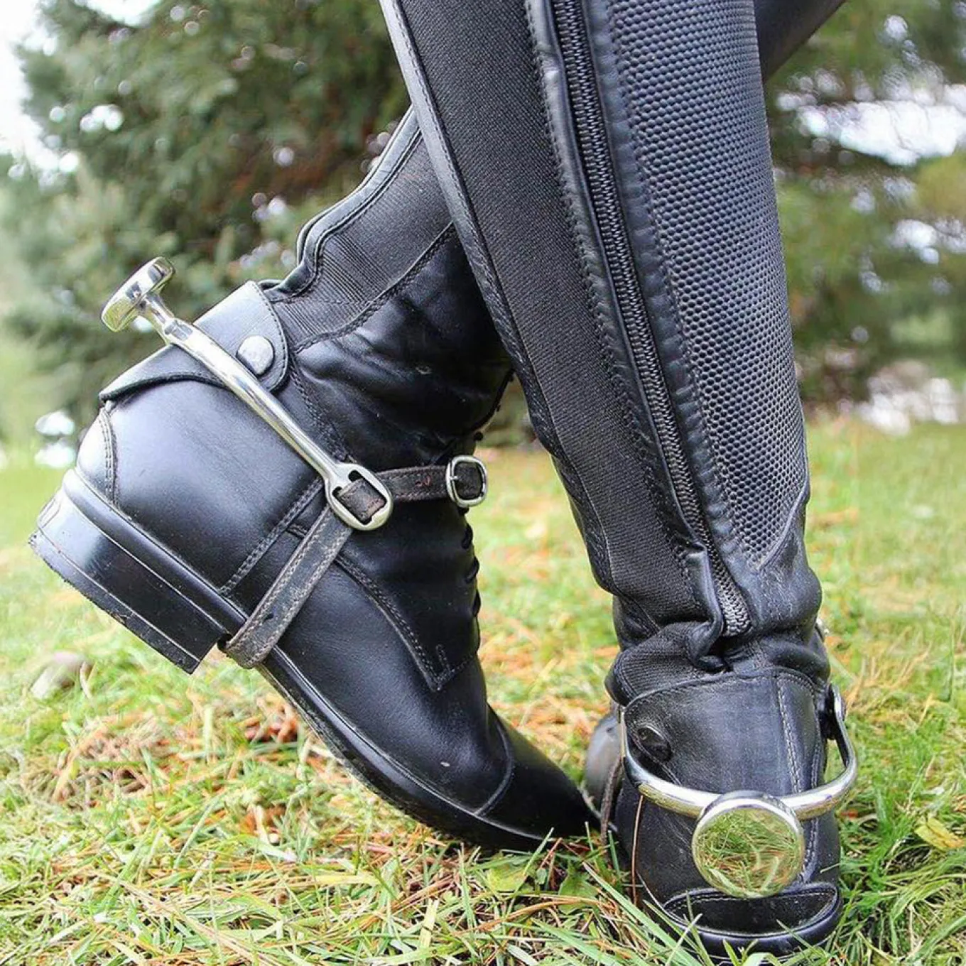 English Spursuader Spur