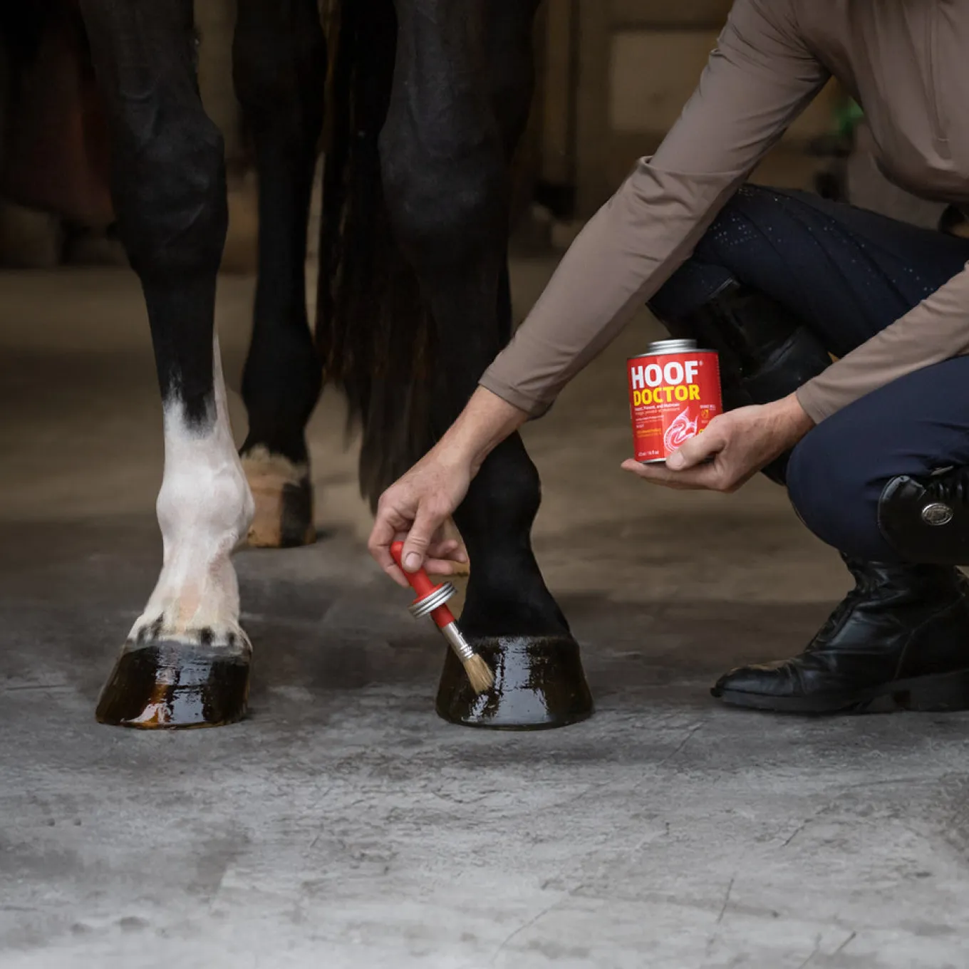 Equine One Hoof Doctor 473 mL