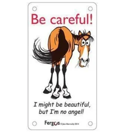 Fergus No Angel Stall Sign