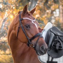 FFE Couture Patent Dressage Snaffle Bridle