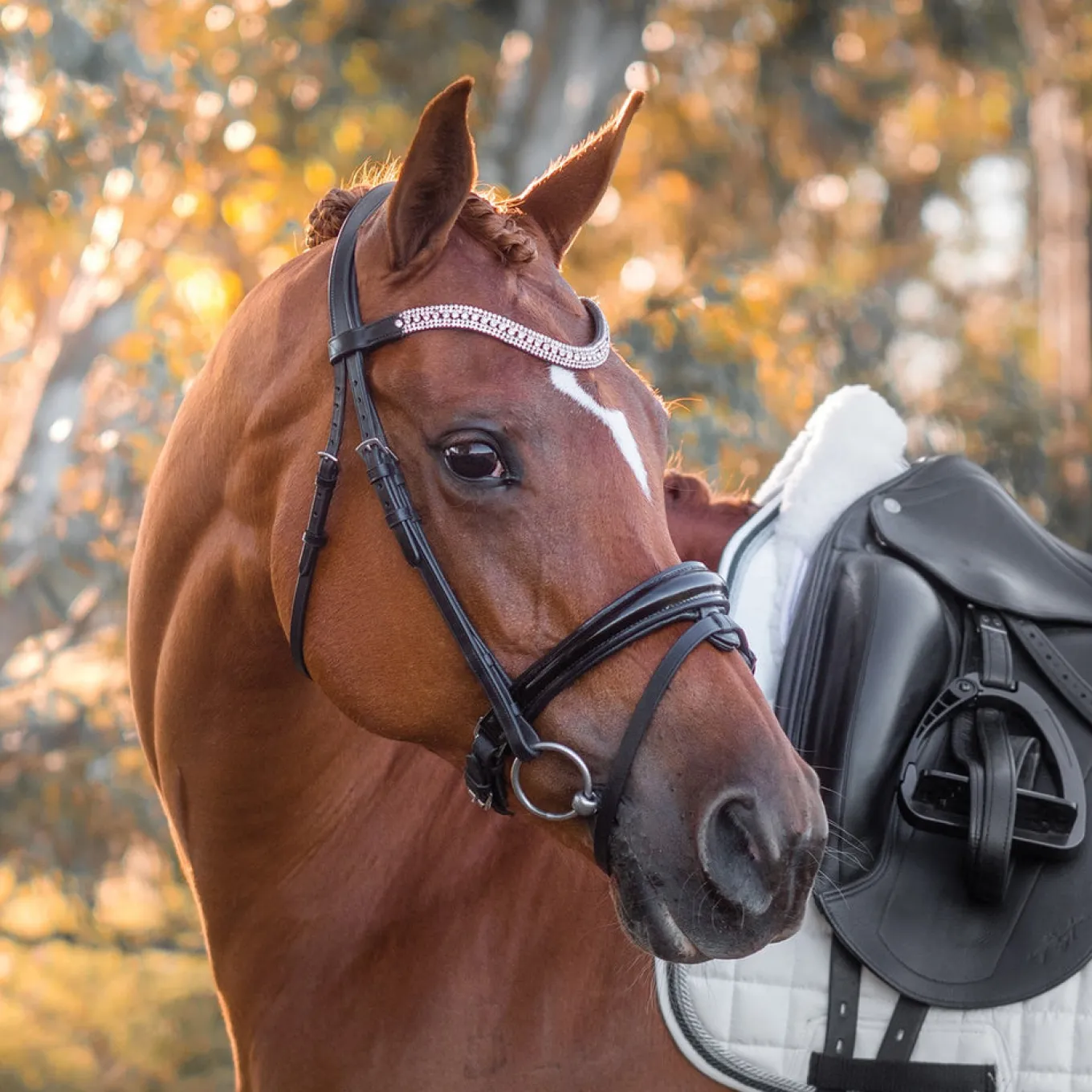 FFE Couture Patent Dressage Snaffle Bridle
