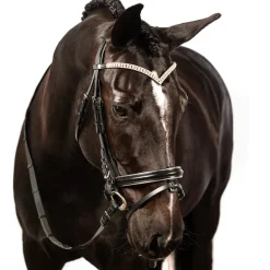 FFE Crystal V Silver Piping Dressage Snaffle Bridle