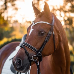 FFE Crystal V Silver Piping Dressage Snaffle Bridle