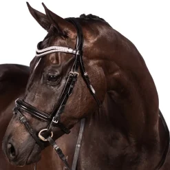 FFE Split Wave Dressage Snaffle Bridle