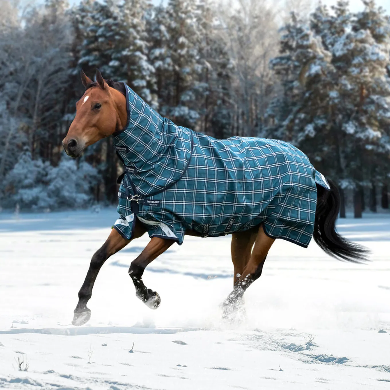Greenhawk Rhino Plus Heavy Turnout Blanket 450 g