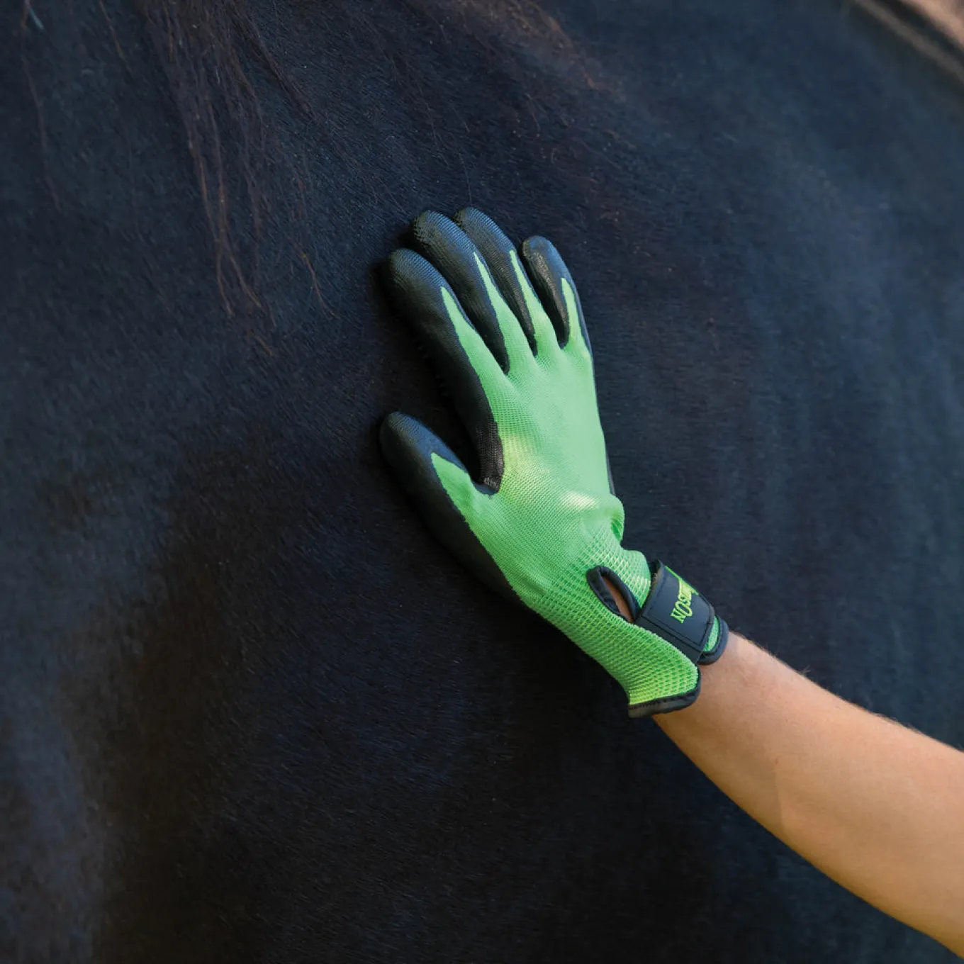 HandsOn Gloves