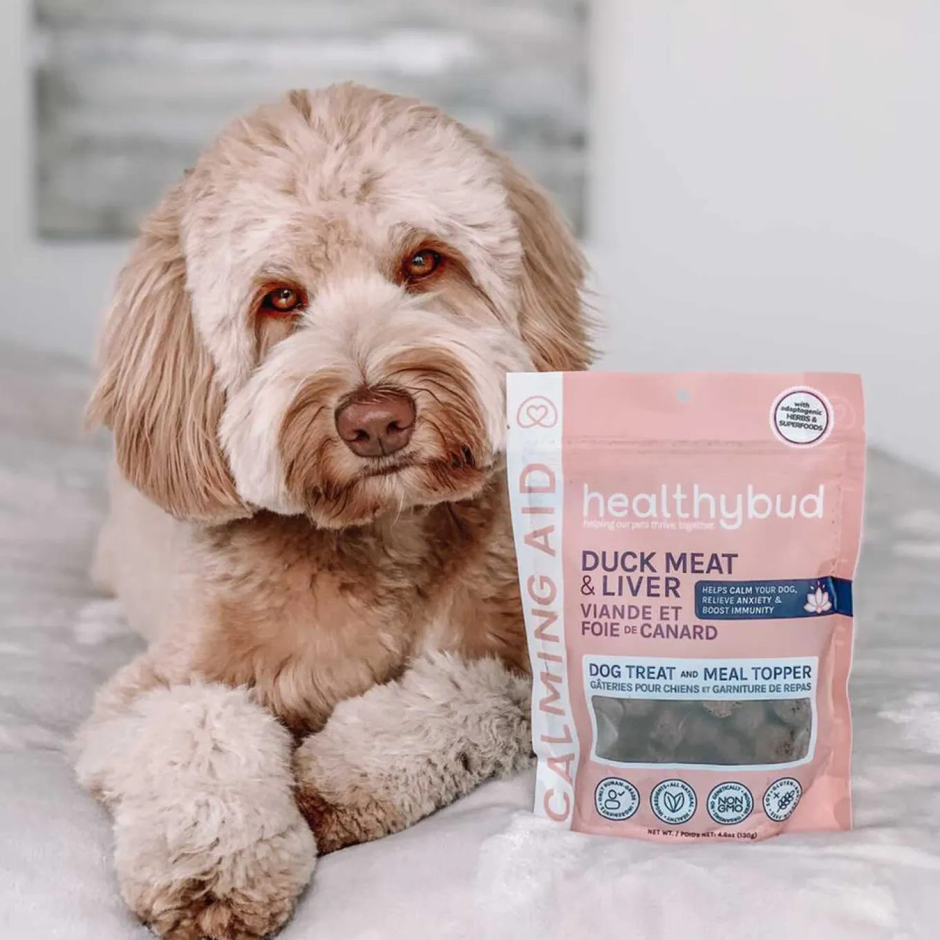 Healthybud Calming Aid Dog Supplement 130 g