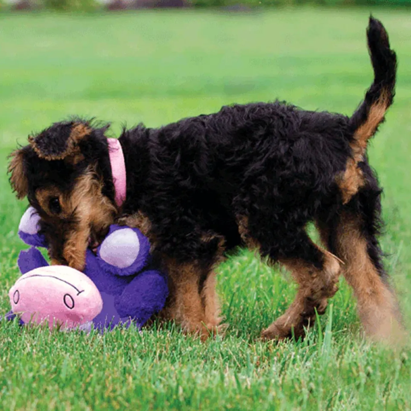 Hero Dog Toy Chuckles Cow 2.0