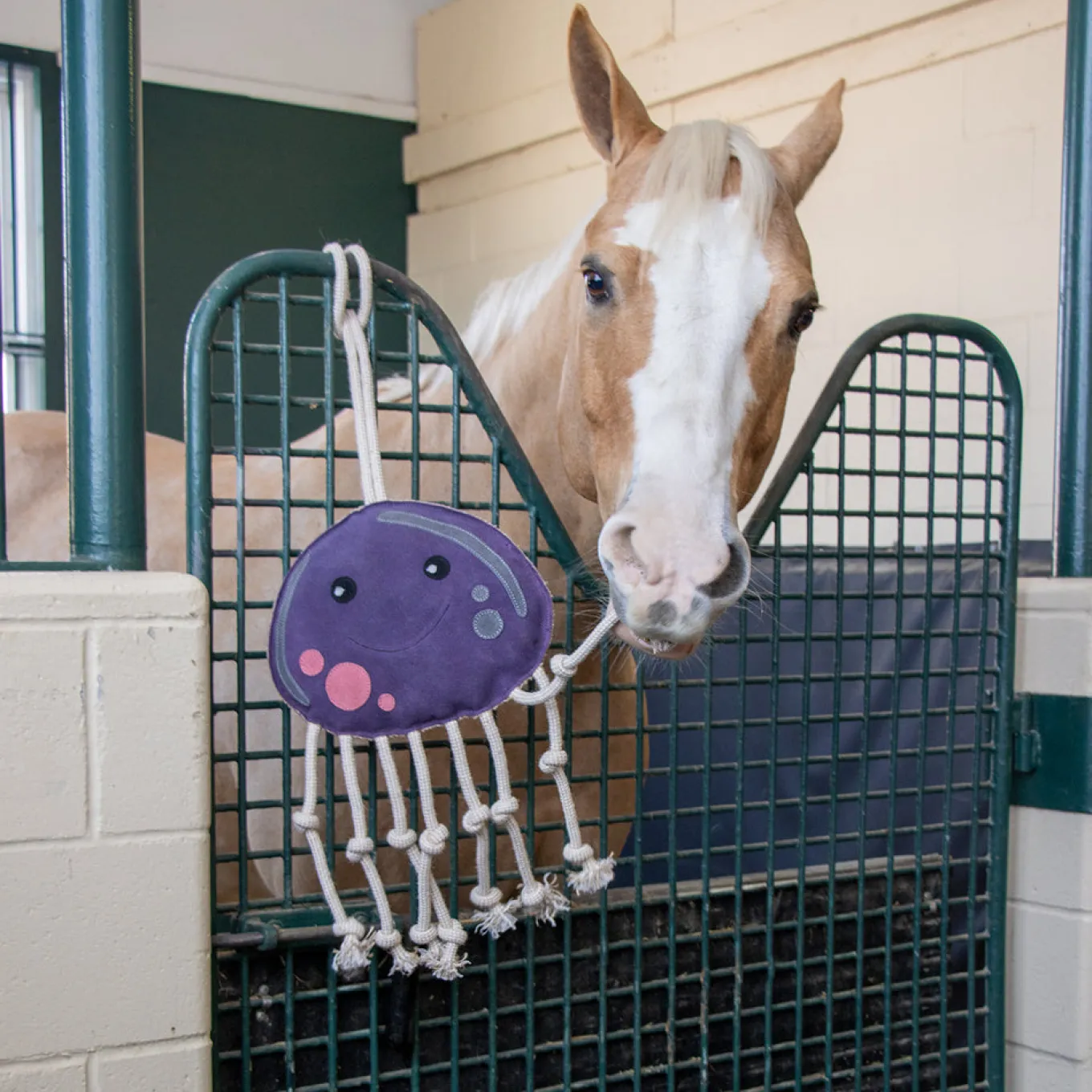 Holland James Octopus Horse Toy