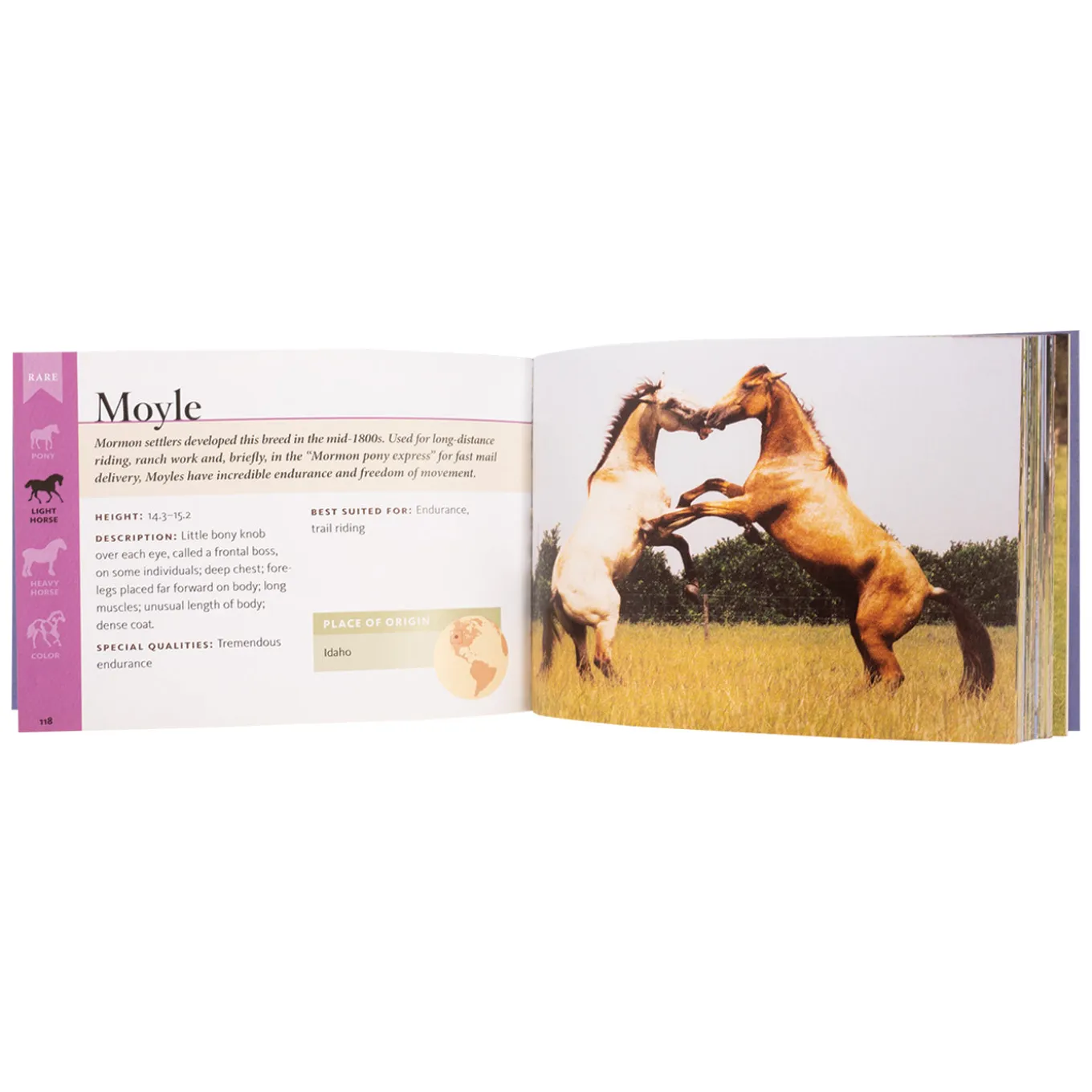 Horse Breeds of North America
