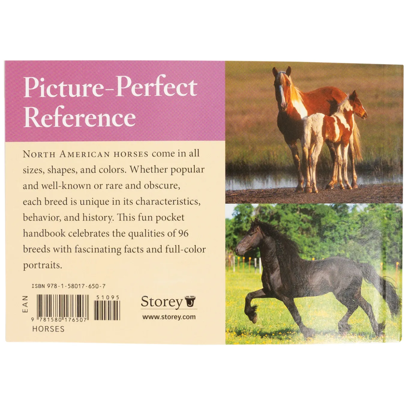 Horse Breeds of North America