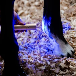 Horseware LED Red Light Therapy Wand